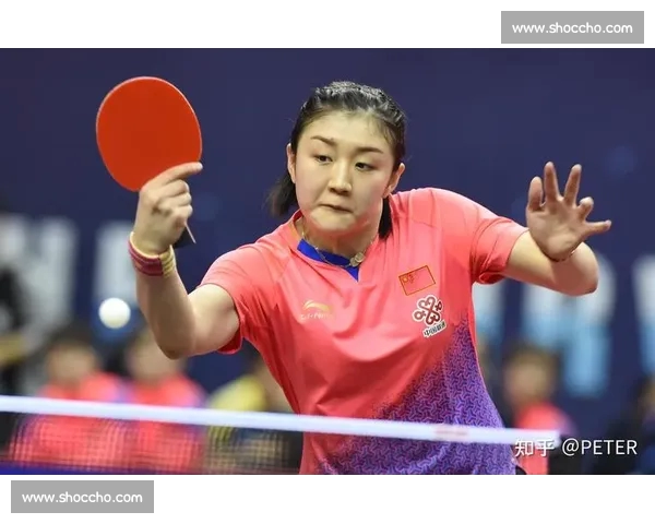 从基础到实战全面解析乒乓球核心技巧与进阶训练方法提升稳定性与速度控制